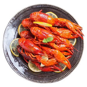 Crustaceans Lobsters